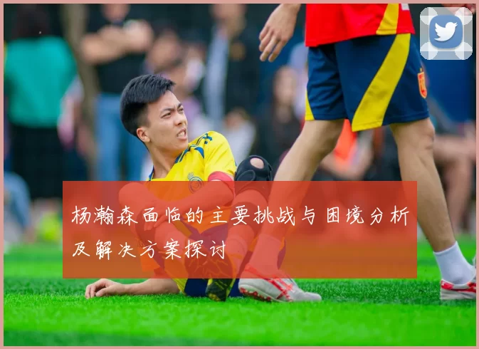 杨瀚森面临的主要挑战与困境分析及解决方案探讨